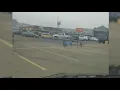 Coyote at Michigan Walmart