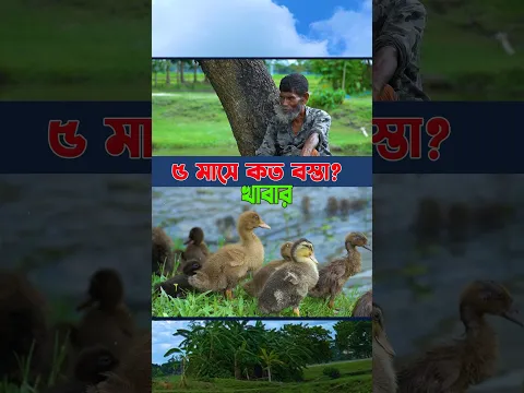৫ মাসে কত বস্তা খাবার খেল হাঁস? 😱🦆 শেষে বিক্রি #shortvideo