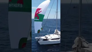 Ever seen a dragon flying? An epic moment that will be remembered