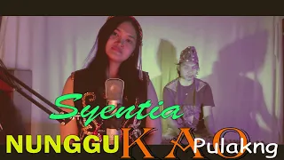 Download Lagu Dayak Nunggu Kao Pulakng Cipt. Ishak Yudianto - Syentia (Official Musik Video) MP3