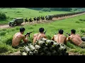 Download Lagu 电影：狙擊手埋伏在高處，千米狙殺日軍