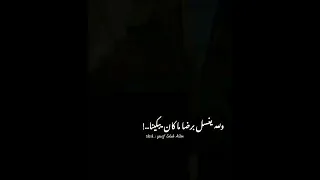 حمدا  على النعماء  موال زمن البرغوت دندنها