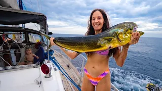 BOAT LIFE: BIG FISH and BIG PROBLEMS… Sailing Indonesia | Ep 363