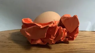 Celine’s Egg - Stop Motion Animation (for @JoblazeBaba