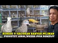 Lagu UPDATE HARGA BURUNG KENARI GACORAN DAN PERKUTUT DIKIOS ALI PASAR BURUNG PRAMUKA TERBARU  HARI INI