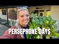 Download Lagu Planting the Winter Garden with Persephone Days in Mind! 🥬🥕🥦
