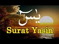 Surat Yasin Merdu dan Terjemahan - H Muammar ZA | Teks Arab dan Latin