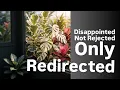 Disappointed NOT Rejected Only Redirected Underrated Plant Grows a Separate Path - Antoinette