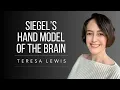 Dr Dan Siegel s Hand Model Of The Brain