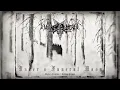 Darker Mysteria - Under a Funeral Moon ( Darkthrone cover )