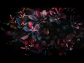 Orville Peck - Daytona Sand Lyrics