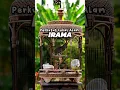 Download Lagu perkutut Lokal Alam irama NGEPAT suara kristal