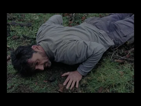 Alva - Trailer | IFFR year