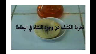 الكشف عن النشا في البطاطا 