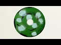 Yo La Tengo - “James gets up and watches mourning birds with Abraham (Wednesday)” (Official Audio)