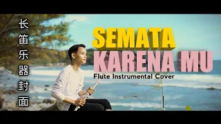 semata karenamu flute instrumental cover relaxing music sleep relaxation
