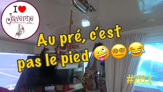 #263 Au prė, c’est pas le pied.