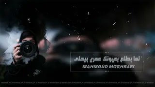 بطلع بعيونك عمري بيحلى   محمود مغربي   استكنان دندنها