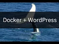 Developing wordpress project in docker container