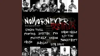 now or never remix 