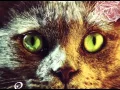 Download Lagu Technasia - I Am Somebody (Original Mix) [Suara]