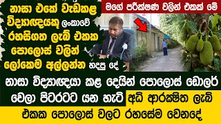 ලංකාවේ රහසිගත ලැබ් එකක නාසා විද්‍යාඥයිකූ පොලොස් වලින් හදපු දේ - NASA Scientist - Polosmite