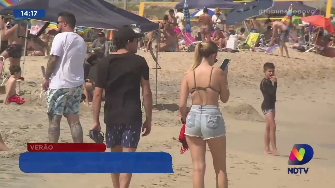 Verão: cuidado redobrado com as águas vivas e caravelas