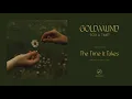Goldmund - "For a Time"