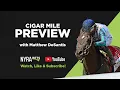 Cigar Mile Saturday at Aqueduct with Matthew DeSantis - FREE PICKS and analysis
