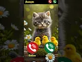 Download Lagu Cute Cat Calling 😮#ringtone #cat #gato #babygirl #youtubeshorts #catlovers #viralvideo #mi #shorts