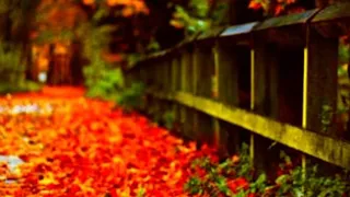 نشيد رائع جدا كانوا هنا 