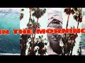 Martin Garrix feat. Macklemore & Patrick Stump of Fall Out Boy - Summer Days (Lyric Video)