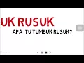 Download Lagu Tumbuk rusuk