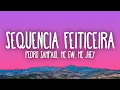 Lagu PEDRO SAMPAIO, Mc Gw, Mc Jhey, Mc Rodrigo do CN, MC Nito - SEQUÊNCIA FEITICEIRA