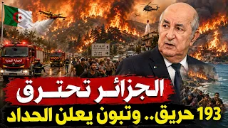الجزائر تحترق في ليلة الرعب .. 193 حريق فماذا يحدث ؟؟