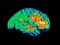 A Boy Rubbed 1 Tube Pain Relief Cream Between His Legs This Is What Happened To His Brain
