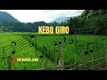 Download Lagu KEBO GIRO |  INSTRUMEN JAWA