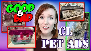 THEY HAVE A NITEANGEL CAGE Craigslist Pet Ads Munchie s Place