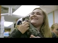 A look into the team of Catskill Vet Services