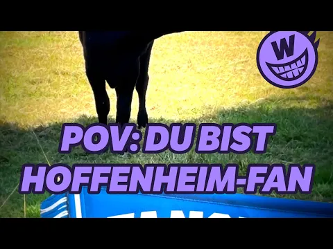 POV: Du bist Hoffenheim-Fan