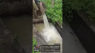                     دندنها