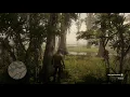 Red Dead Redemption 2 - Night scented orchid