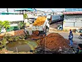 Download Lagu First Starting A New Project! Filling Land By Bulldozer Push soil With 5ton Trucks