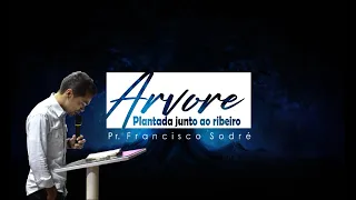 Arvore plantada junto ao ribeiro - Planta Nova - Pr. Francisco Sodré