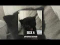DIA - EEEE A (slowed reverb)