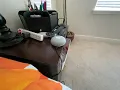 Konami code Easter egg on google home mini