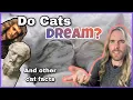 Do Cats Dream Do Cats Have Elbows 10 Surprising Facts about Cats