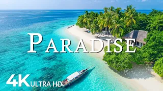 4K U - PARADISE ISLAND