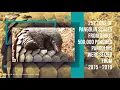 Download Lagu Wildlife Crime - Pangolin scales