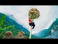 Download Lagu Harvesting 100 Giant Straw Mushrooms To Sell At The Market | Single mom makes mushroom cake | Emma